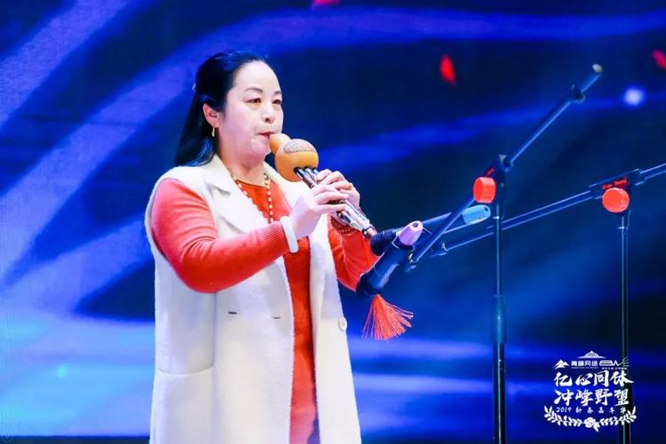 洛阳市青峰网络科技与青蜂网络科技 名称辨析与选择参考